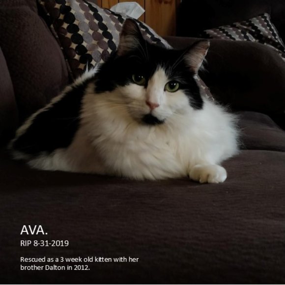 Meet your Posher, Andrea - Picture 4 of 7